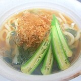 あっさりネギわかめうどん